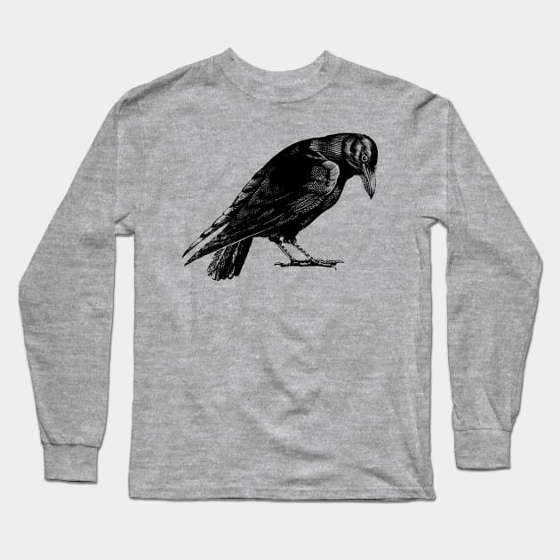 Curious Crow or Raven Long Sleeve T-Shirt by Pixelchicken